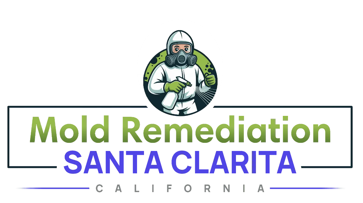 Mold Remediation Santa Clarita